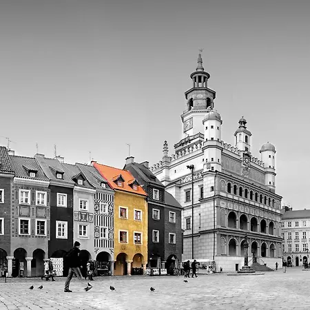 Stary Rynek 24 *